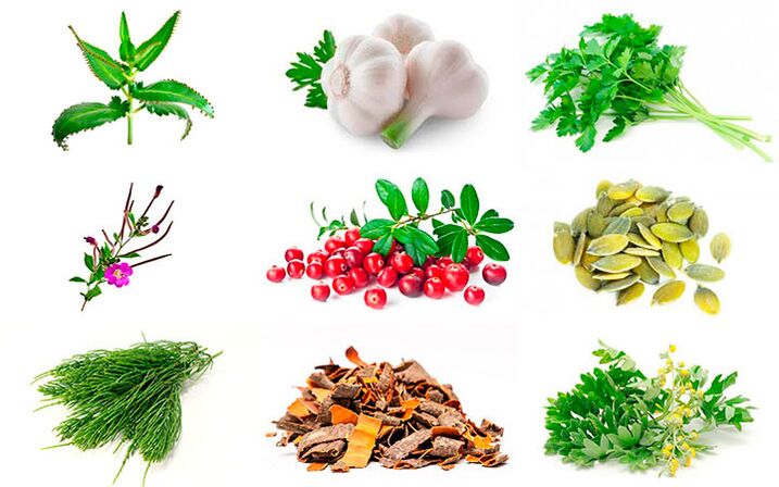 Remedii populare pentru tratamentul prostatitei